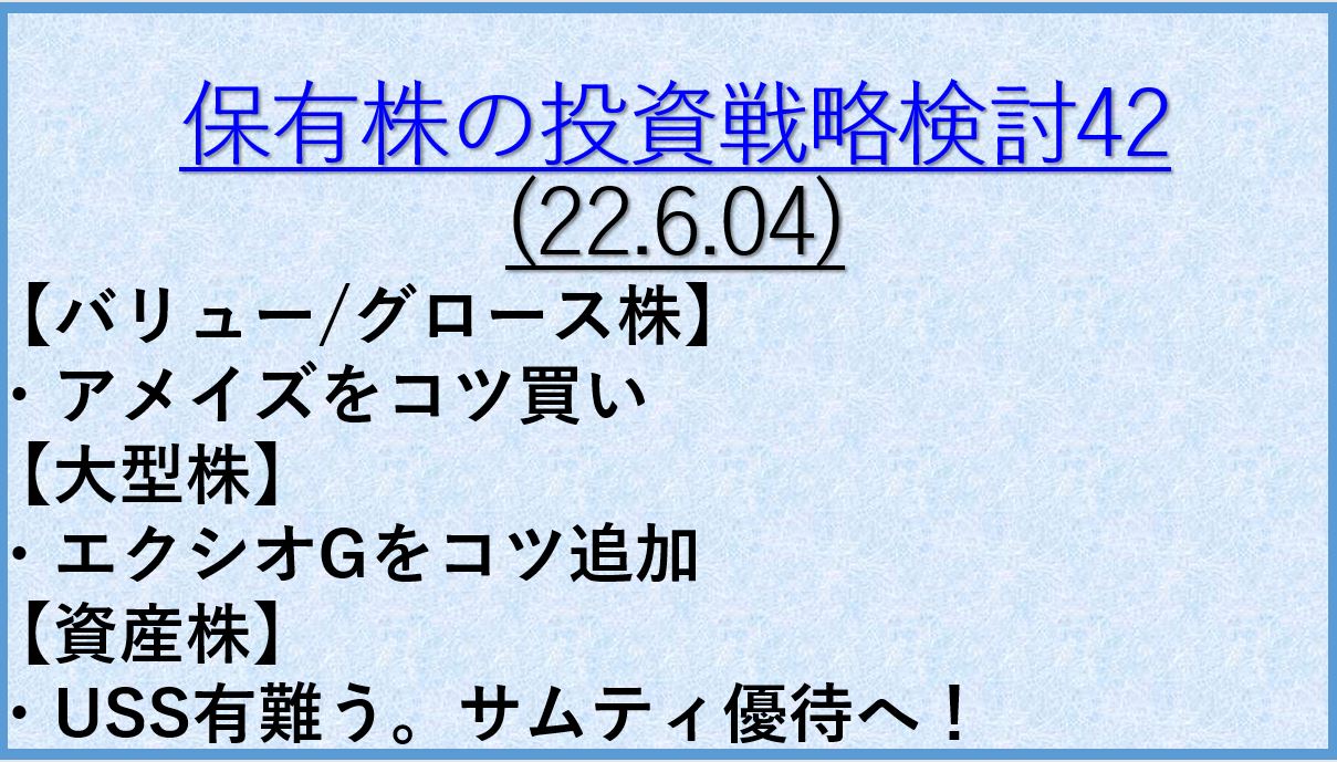 保有株の投資戦略43 22年6月04日 バリュー株 大型株 資産株 ケン 投資家ランナーの投資 マラソン 固定費削減まとめ